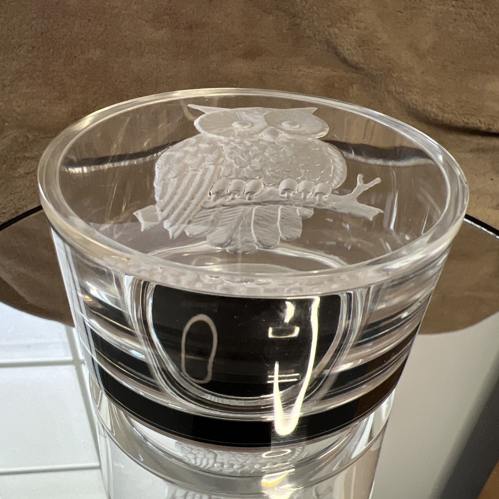 Vintage Clear Acrylic Lidded Trinket‎ Box Etched Owl Felt Bottom